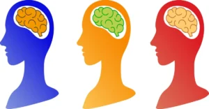 New Study Links Higher Linoleic Acid Levels to Significantly Lower Dementia Risk, Shifting Omega-6 Fatty Acid Perceptions