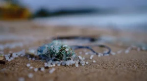 The Hidden Crisis of Microplastics: How Microscopic Pollutants are Reshaping Global Ecosystems and Threatening Human Health