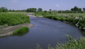 The Legal Rights of Rivers: A New Frontier in the Battle Against the United Kingdom Sewage Crisis and the Global Rights of Nature Movement
