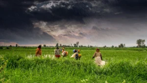 Unearthing the Future of Global Agriculture and the Cultural Identity of Food Systems in 2026