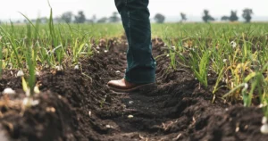 Agroecology Uprooted