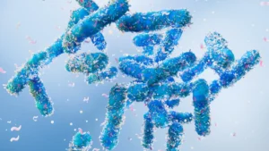 Oleoylethanolamide (OEA) Emerges as Promising Ingredient for Weight Management, Influencing Gut Microbiome and Metabolic Markers