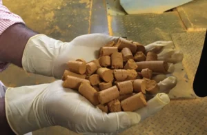 Turmeric Supplement Liver Injury Warnings Spark Expert Debate Over Safety Data Interpretation