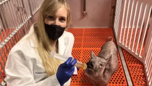 Endocrine Pathway Trailblazer: Q&A with Katrin Svensson, PhD