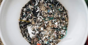Postbiotic Supplement Shows Potential to Limit Human Absorption of Microplastics in Landmark Clinical Trial