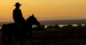 The Return of the Aurochs: How Tauros Cattle and Rewilding Initiatives are Reshaping Denmark’s Natural Landscape