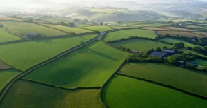 Aerial Footage of Somerset Estate Reveals Rewilding as a Critical Shield Against Extreme Heat and Wildfire Risks