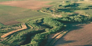 Europe’s regenerative farmers are providing vital wildfire protection – but they need more support.