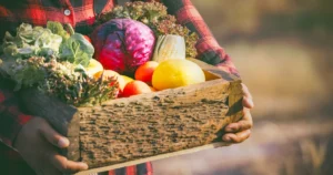 From Soil to Gut Why Your Gut Health Depends on the World Around You