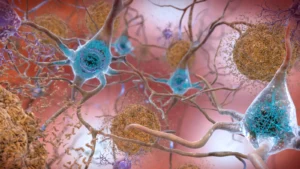 Roche and Eli Lilly Secure FDA Clearance for Elecsys pTau217 Blood Test as Competition Intensifies in the Alzheimers Diagnostic Market