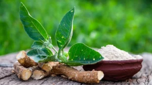 Arjuna Natural Publishes Landmark Human Safety Study on Ashwagandha Extract Amidst Regulatory Scrutiny