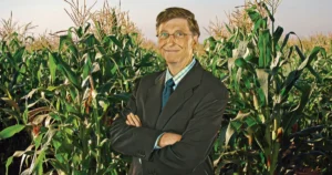 Bill Gates and the Failed Promises of the Green Revolution in Africa Two Decades of Sluggish Yields and Rising Hunger