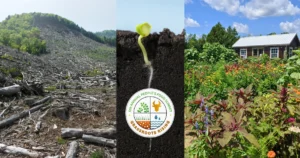 From Corporate Control to Grassroots Resilience The Rise of the Peoples Food Summit and the Global Movement for Regenerative Agriculture