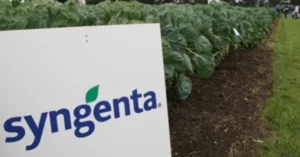 Global Regulatory Divergence and Health Concerns Intensify Over Continued Use of Paraquat Pesticide in the United States