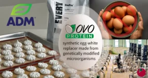 Iowa Invests Millions in Synthetic Egg Production as Precision Fermentation Reshapes the Agricultural Landscape