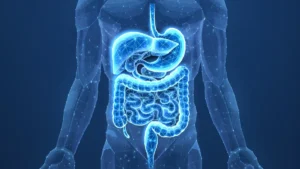 Nutrient Sensing: The Gut’s Sophisticated Communication Network and Its Emerging Role in Supplement Science