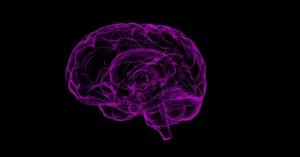 Scientists Identify Neural Pathways Linking Nasal Respiration to Anxiety Regulation