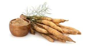 Shatavari’s Rise: Ayurvedic Herb Becomes a Pillar in Women’s Health Supplementation, Supported by New Clinical Evidence
