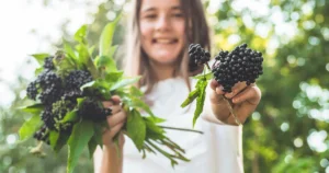 The Intersection of Nutrition and Nocturnal Rest: How Diet Shapes Sleep Quality and Circadian Health