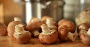 The Neurological Benefits of Fungi Consumption: How Ergothioneine and Essential Nutrients in Mushrooms Support Long-Term Brain Health