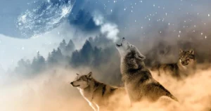 Trump Administration Initiates Comprehensive Federal Review of Gray and Mexican Wolf Protections Under the Endangered Species Act