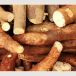 Ashwagandha’s Regulatory Tightrope: Navigating Global Scrutiny and Market Dynamics