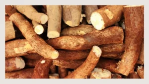 Ashwagandha’s Regulatory Tightrope: Navigating Global Scrutiny and Market Dynamics