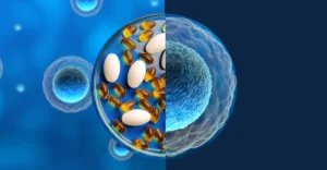 Cell-ing smarter: Healthy aging