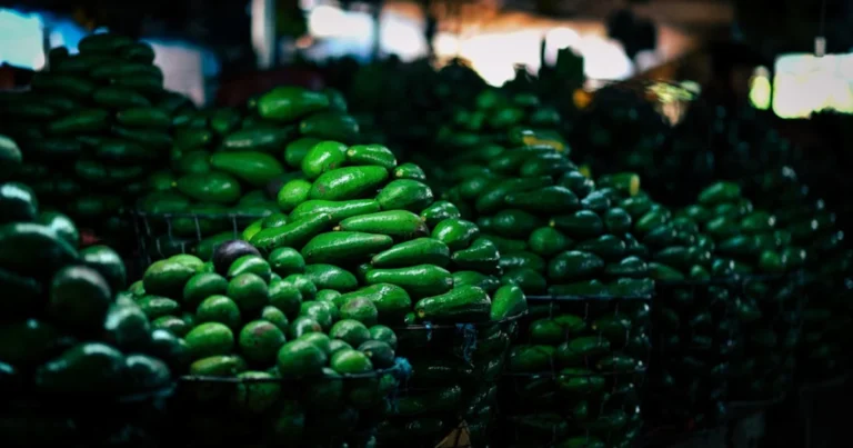 The Environmental Toll of the Global Avocado Boom: Deforestation and Water Scarcity in Mexico’s Michoacán State