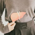 The Liver Health Surge: How Shifting Consumer Interest and Rising Disease Rates are Fueling a Supplement Boom