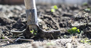 Unearthing the Science of the Pedosphere Global Initiatives in Soil Education and Environmental Stewardship Drive Modern Agricultural Curriculum